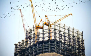 Birds and Construction Site