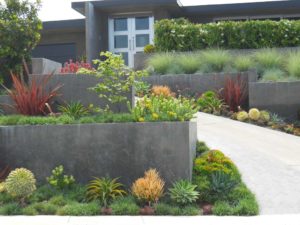 Concrete Planter Modern landscape