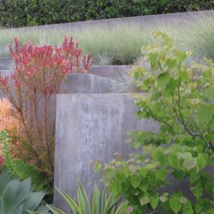 Concrete Planter with Grasses
