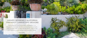 California Friendly Landscape Designs