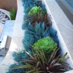 Modern Landscape Succulent Arrangement