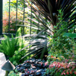 Tropical Succulent and Plant Design