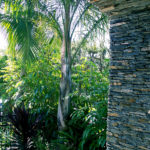 Tropical Stone Arch Landscape