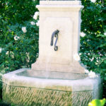 Water Feature and Roses