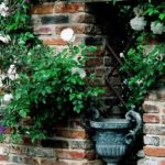 White Florals and Brick