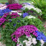 Cottage Landscape Floral Arrangement