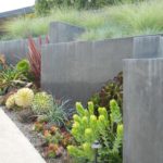 Modern Landscape Succulents and Greenery