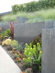 Concrete Grass Landscape with Succulents