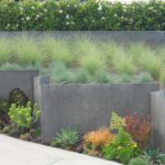 Modern Landscape Succulents and Grasses