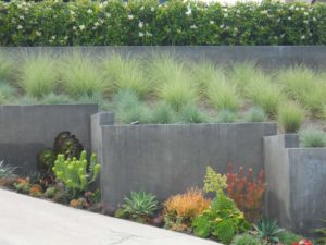 Concrete Grass Landscape