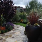 Mediterranean Pathway with Various Plants