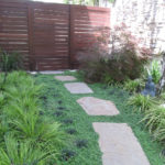 Stone Pathway and Grasses