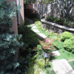 Landscape Stepping Stones and Green Detail