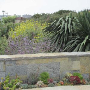 Modern Landscaping Yellow and Purple Details