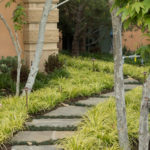 Stone Pathway with Trees and Grasses