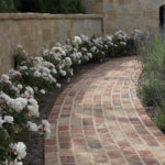 Brick Pathway with White Roses