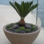 Modern Plant Design with Ocean View