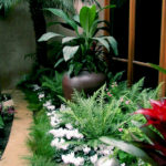 Tropical Pottery and Plant Design