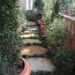 Stone Pathway with Bushes