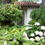 Mediterranean Home Landscape Design