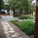 Stone Pathway with Gravel and Shrubs