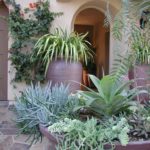Mediterranean Doorway with Potted Succulents