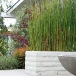 Bamboo Landscape and White Brick