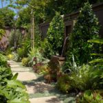 Pathway with Stepping Stones and Water feature