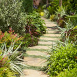 Grass and Stepping Stone Pathway