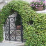 Landscape Hedge Arch and Gate