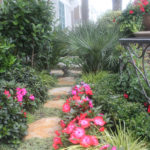 Stepping Stone Pathway with Pink Flowers